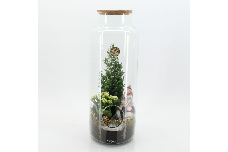 Arrangementen kerst XMAS-25226 Kerst creatie terrarium 2 pp 