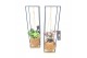 Kamerplanten mix groen Kokodama 12 cm Hanging Industrial Green mix 1 p 