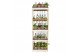 Kamerplanten mix + showdoos Kokodama Display Rack incl 40 Kokodamas (1 