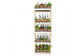 Kamerplanten mix + showdoos Kokodama Display Rack incl 40 Kokodamas (1