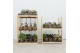 Kamerplanten mix + showdoos Kokodama Display Rack incl 40 Kokodamas (1 