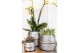 Keramische pot Kolibri Home Groove pot silver 