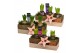 Arrangementen hyacinthus Hyacint Wooden Box HL11622 [PURE] 3 pp 90 bl. 
