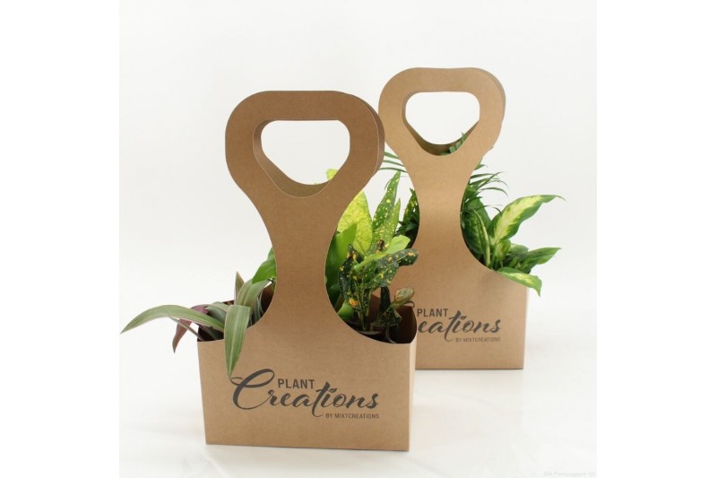 Kamerplanten mix Tas 3 Ecotas met 3 planten 