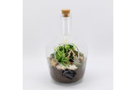 Arrangementen kerst XMAS-25211 Kerst creatie terrarium 2 pp