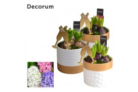 Arrangementen hyacinthus Hyacint Wit Goud Keramiek HL13222NY [NEW YEAR