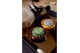 Arrangementen succulenten ROOTLESS Echeveria, Squirrel bowl - black bo 