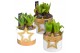 Arrangementen hyacinthus Hyacint Wit Goud Keramiek HL13222 [SHINY & SP 