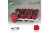 Kalanchoe secret Kalanchoe Moments - Red with glitter - kerst 1 pp 20 