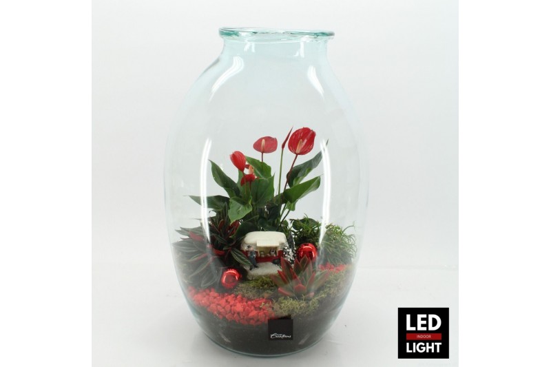 Arrangementen kerst XMAS-25316LED Kerst creatie terrarium 4 pp 