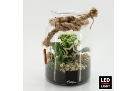 Arrangementen kerst XMAS-25213LED Kerst creatie terrarium 2 pp