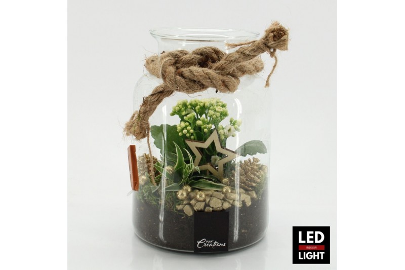 Arrangementen kerst XMAS-25213LED Kerst creatie terrarium 2 pp 