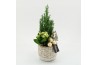 Arrangementen kerst XMAS-25304 Kerst creatie 2 pp