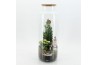 Arrangementen kerst XMAS-25226 Kerst creatie terrarium 2 pp