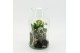 Arrangementen kerst XMAS-25228 Kerst creatie terrarium 2 pp 