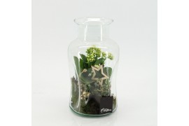 Arrangementen kerst XMAS-25228 Kerst creatie terrarium 2 pp