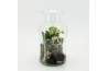 Arrangementen kerst XMAS-25228 Kerst creatie terrarium 2 pp