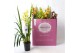 Cymbidium mix Cymbidium kleuren mix 3-4 tak 3 tak/plnt 18 bl. 