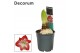 Hippeastrum Exotic Striped 2 knop Extra OP (Decorum) 