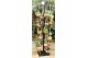 Hangplanten mix Kokodama Black Tree INCLUDING 48 best selling Kokodama 