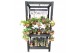 Hangplanten mix Kokodama Black Display table euro pallet size INCLUDIN 