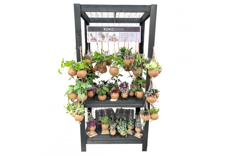 Hangplanten mix Kokodama Black Display table euro pallet size INCLUDIN 