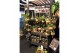 Hangplanten mix Kokodama Black Display table euro pallet size INCLUDIN 