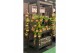 Hangplanten mix Kokodama Black Display table euro pallet size INCLUDIN 