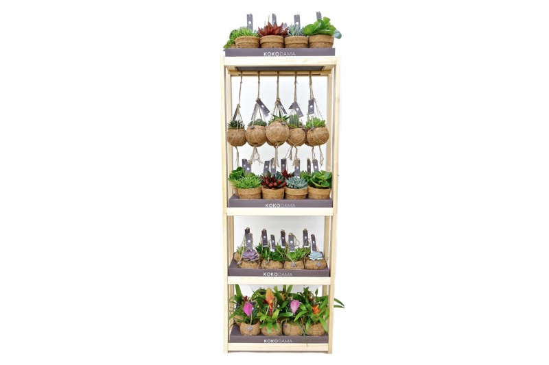 Kamerplanten mix + showdoos Kokodama Display Rack incl 40 Kokodamas (1 