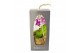 Phalaenopsis mini Kokodama 12 cm Gift Package Orchid 2 tak 1 bl. 2 tak 
