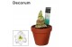 Hippeastrum Arctic White 2 Knop Terracotta Steen OP (Decorum) 