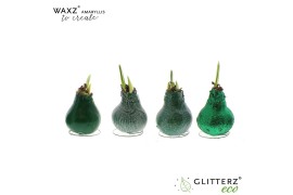 Hippeastrum gewaxt Waxz® to Create Dark Green1 tak