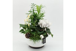 Arrangementen kerst XMASXL-2506 Kerst XL 4 pp