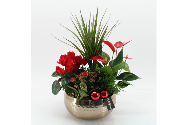 Arrangementen kerst XMASXL-2517 Kerst XL 5 pp 