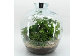 Arrangementen kamerplanten GRCR-2614 Green Essentials terrarium 4 pp