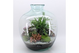 Arrangementen kamerplanten GRCR-2616 Green Essentials terrarium 5 pp