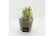Arrangementen tuinplanten BLCR-2632 Bulbs creations 1 pp 