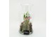 Arrangementen tuinplanten BLCR-2639 Bulbs creations 1 pp 