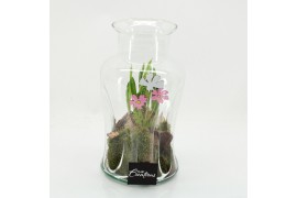 Arrangementen tuinplanten BLCR-2639 Bulbs creations 1 pp