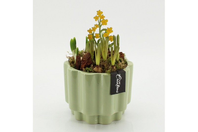 Arrangementen tuinplanten BLCR-2642 Bulbs creations 2 pp 