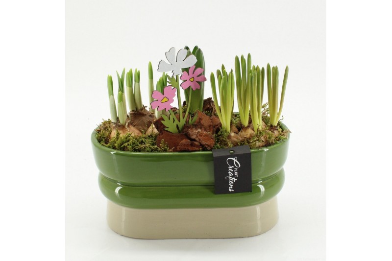 Arrangementen tuinplanten BLCR-2641 Bulbs creations 3 pp 