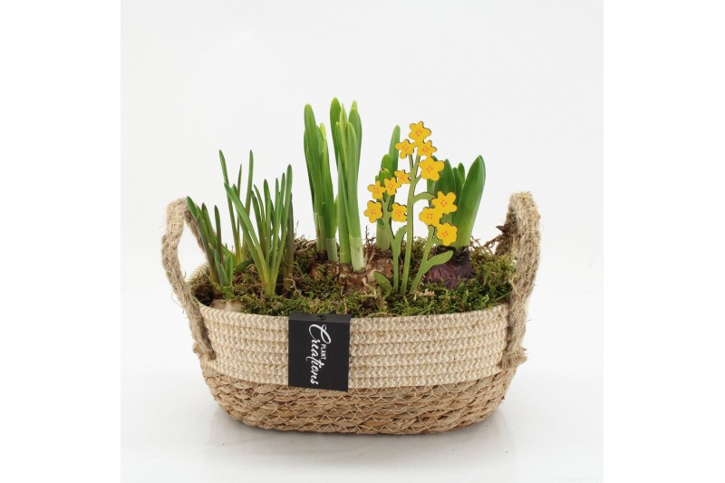 Arrangementen tuinplanten BLCR-2625 Bulbs creations 3 pp 