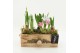 Arrangementen tuinplanten BLCR-2627 Bulbs creations 3 pp 
