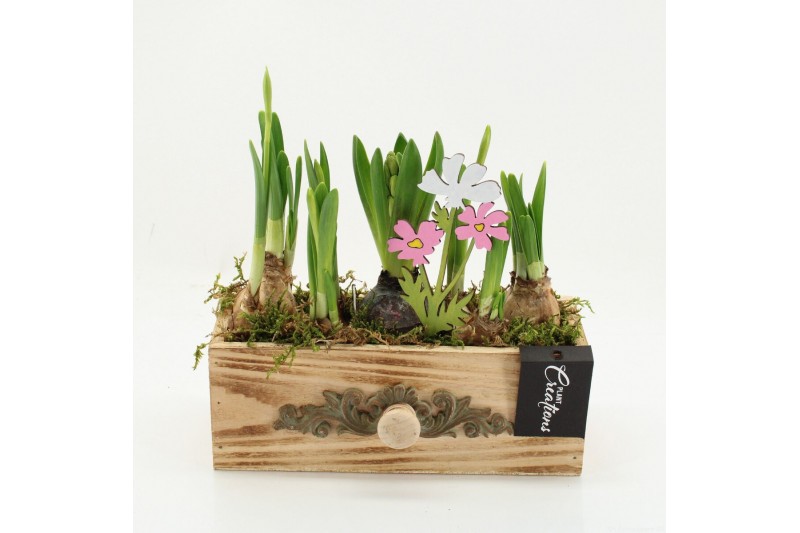 Arrangementen tuinplanten BLCR-2627 Bulbs creations 3 pp 
