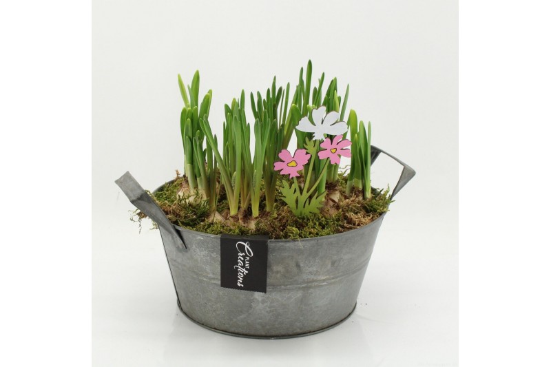 Arrangementen tuinplanten BLCR-2618 Bulbs creations 4 pp 