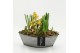 Arrangementen tuinplanten BLCR-2617 Bulbs creations 2 pp 