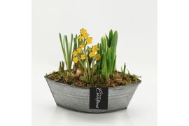 Arrangementen tuinplanten BLCR-2617 Bulbs creations 2 pp
