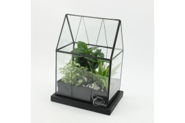 Arrangementen kamerplanten GRCR-2617 Green Essentials terrarium 3 pp