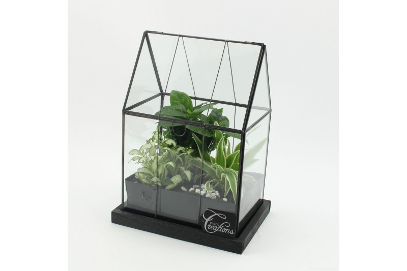 Arrangementen kamerplanten GRCR-2617 Green Essentials terrarium 3 pp 