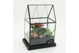 Arrangementen kamerplanten ESCR-2629RZ Essentials terrarium 3 pp